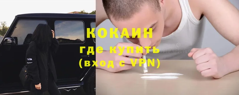 Cocaine FishScale  закладки  Козловка 