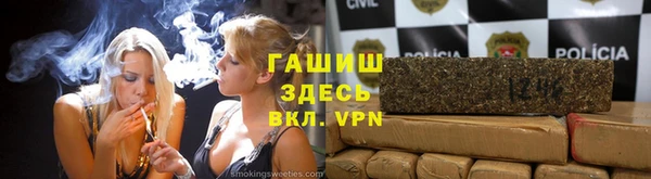 PSILOCYBIN Армянск