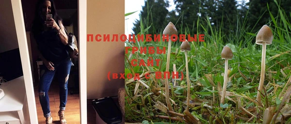 PSILOCYBIN Армянск