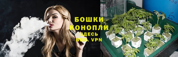PSILOCYBIN Армянск
