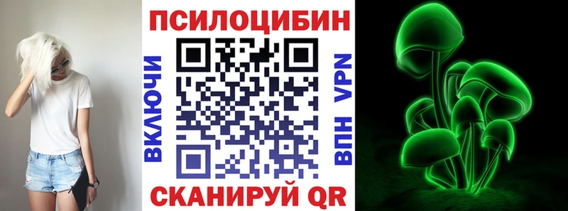 дарнет шоп  Козловка  Галлюциногенные грибы ЛСД 