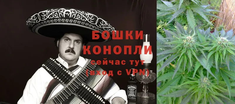 купить наркотик  Козловка  дарк нет телеграм  Марихуана OG Kush 